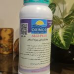 جلبک‌زدای استخر اکسینور